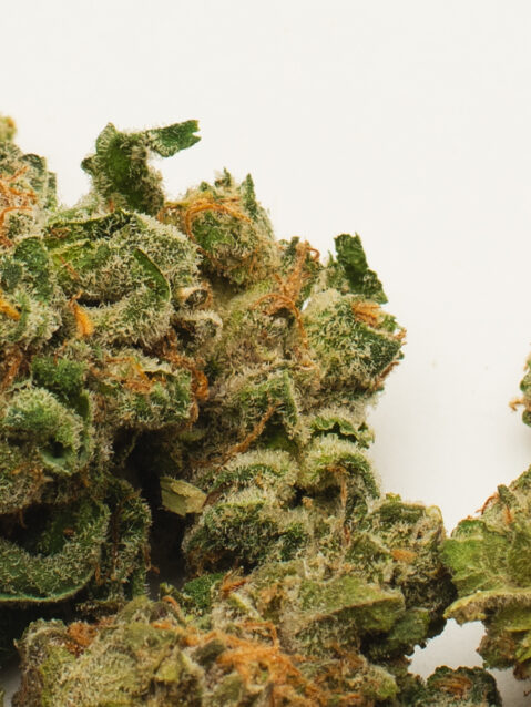 Scotti Pippen AAA+ | One Ounce Bag