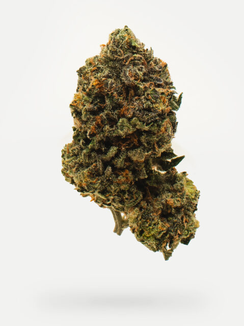 Scratch & Sniff (AAAA)