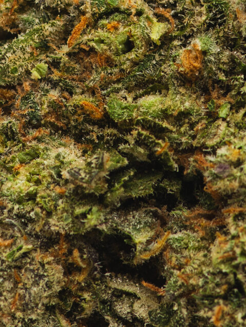 Scratch & Sniff (AAAA)