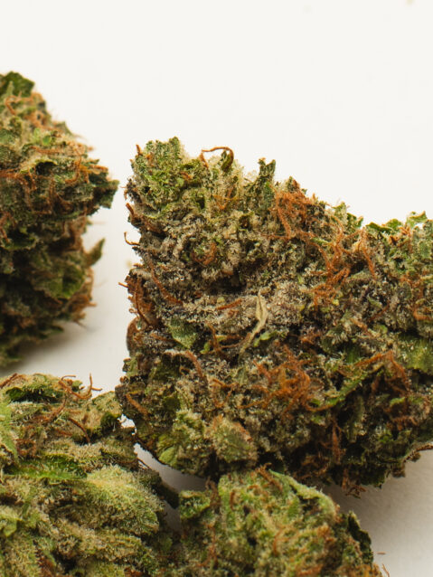 Rainbow Zkittlez AAA+ | One Ounce Bag