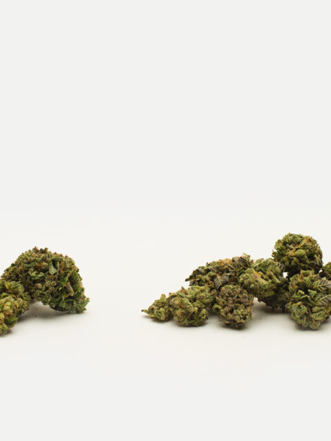 Pink Rockstar AAA+ | One Ounce Bag