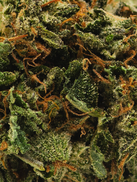 Pink Rockstar AAA+ | One Ounce Bag