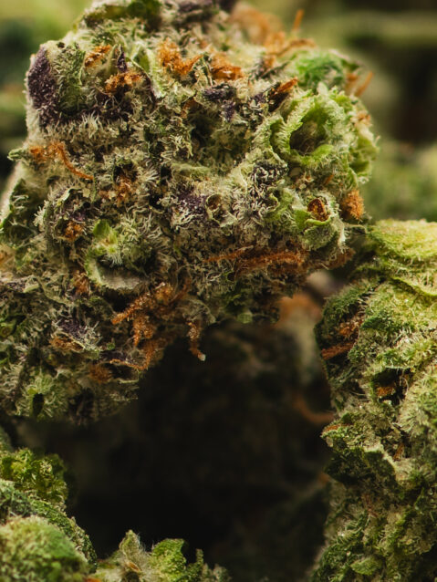 Triple Berry AAA+ | One Ounce Bag (Smalls)