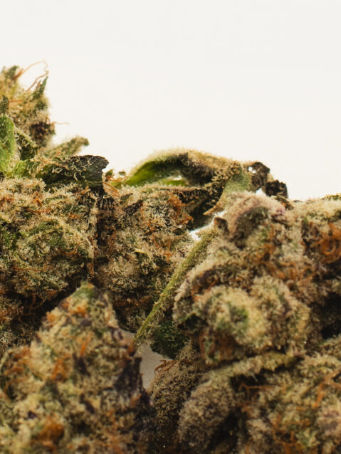 Slurricrasher AAA+ | One Ounce Bag