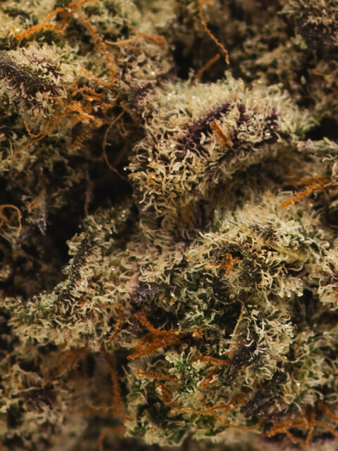 Slurricrasher AAA+ | One Ounce Bag