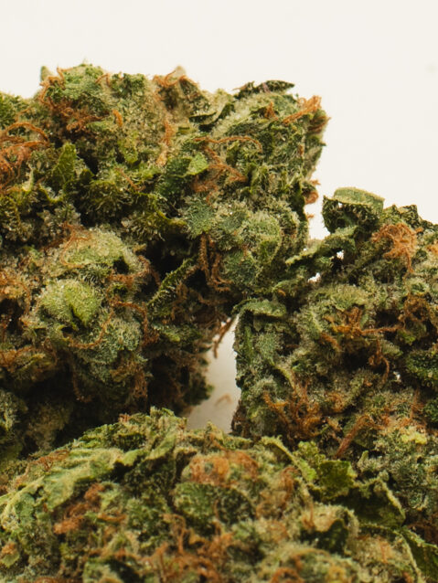 Z Cube AAA+ | One Ounce Bag