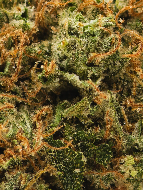 Z Cube AAA+ | One Ounce Bag