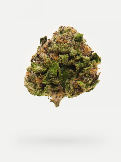 Peanut Butter Rockstar AAA+ | One Ounce Bag (Small Buds)