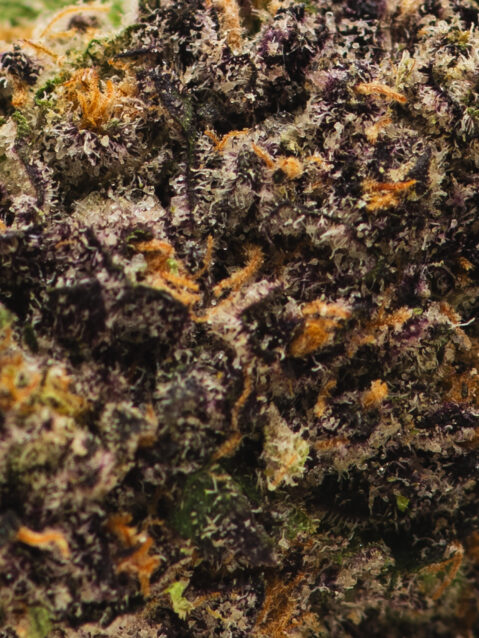 Peanut Butter Rockstar AAA+ | One Ounce Bag (Small Buds)