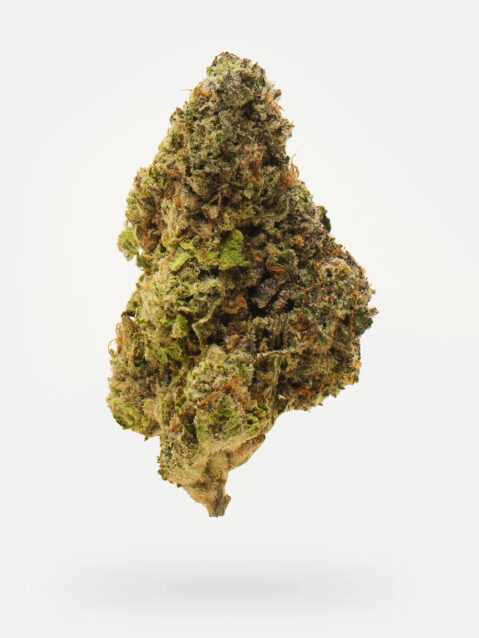 Panty Dropper (AAAA)