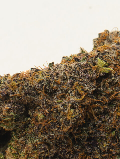 Cherry Pancakes (AAAA)