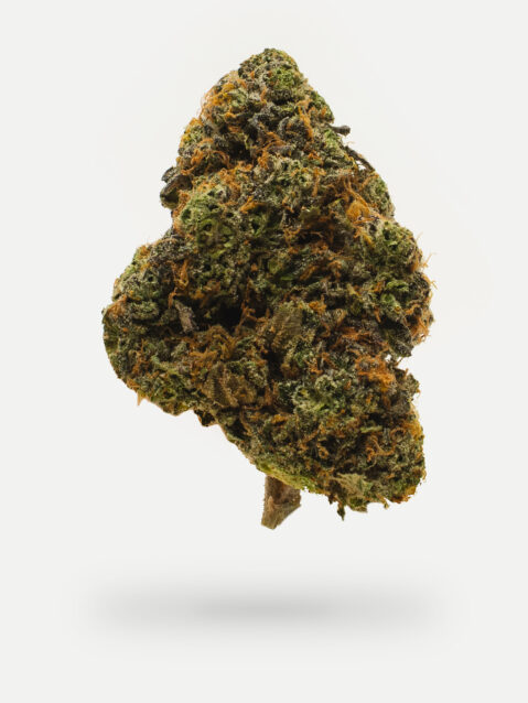 Candy Sherbet (AAAA)