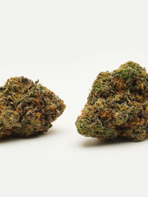 Candy Sherbet (AAAA)