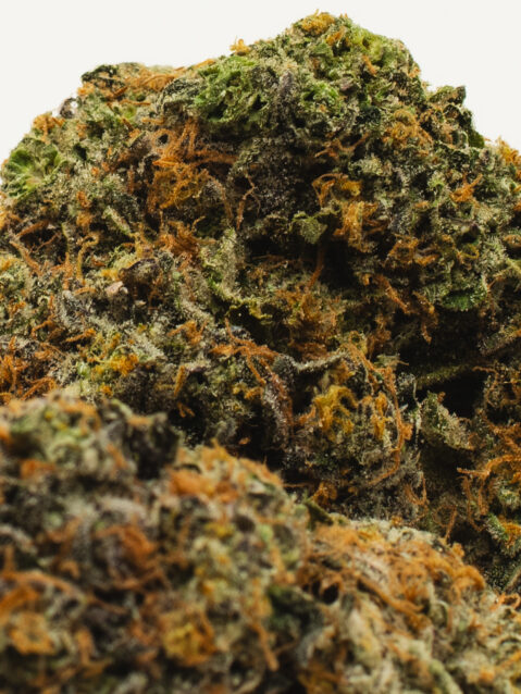 Candy Sherbet (AAAA)