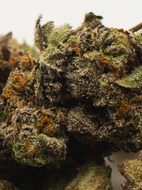 Pink Kitty AAA+ | One Ounce Bag