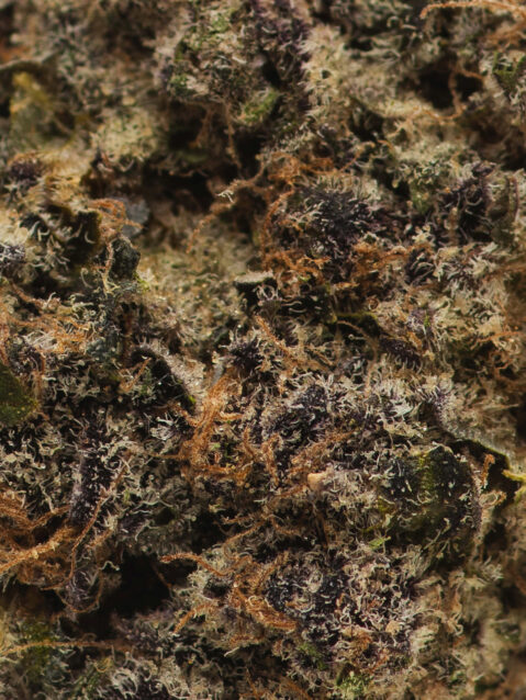 Blue Caviar (AAAA)