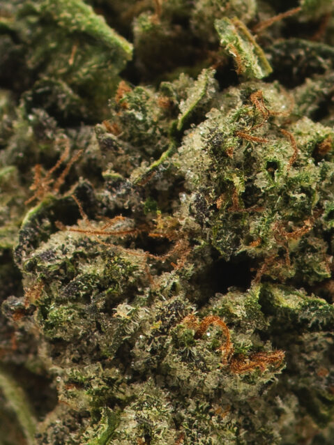 OG Kush AAAA | One Ounce Bag (Small Buds)