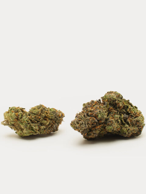 Ripped Off Runtz (AAAA)