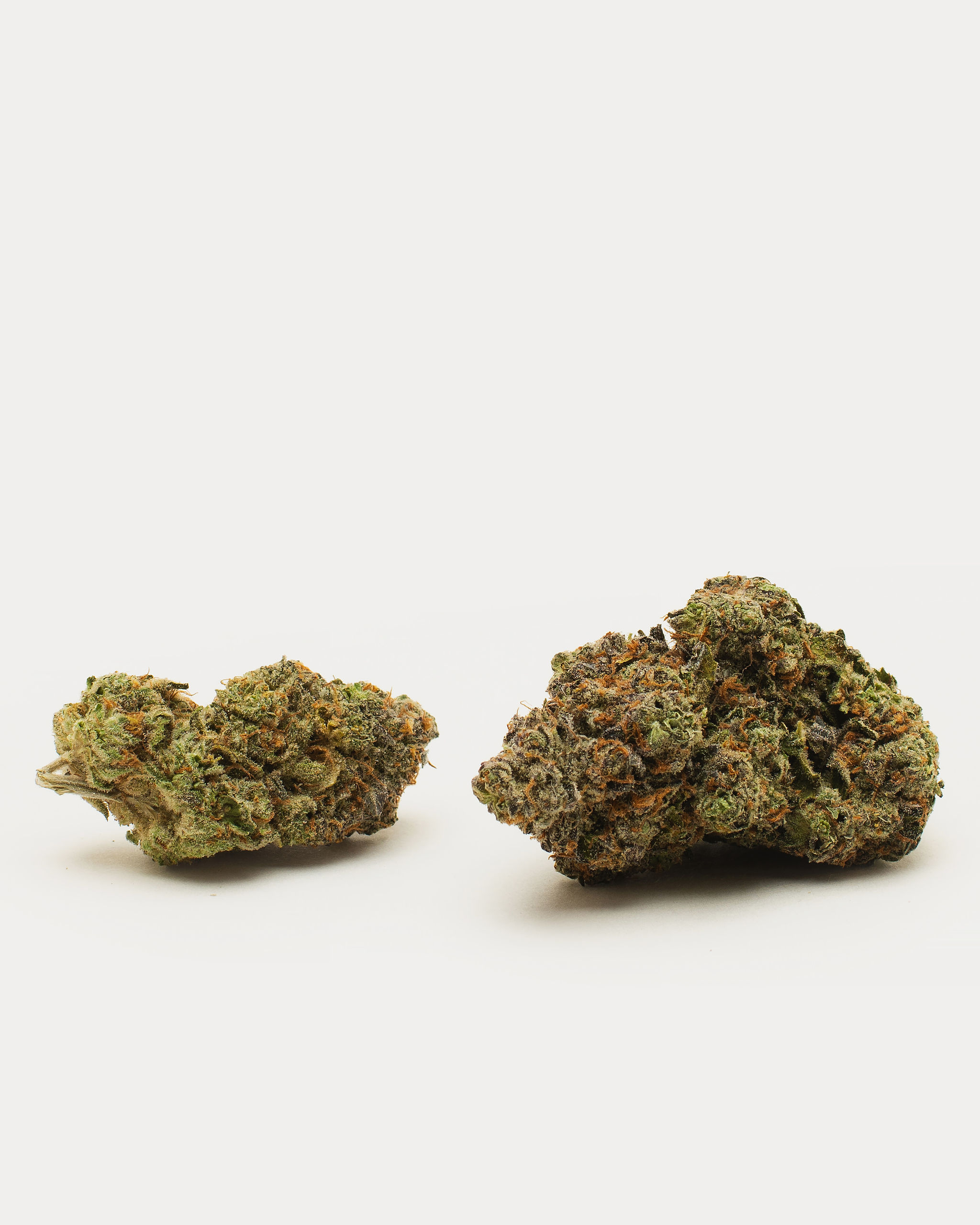 Stoni RippedOffRuntz3