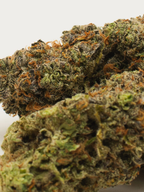 Ripped Off Runtz (AAAA)