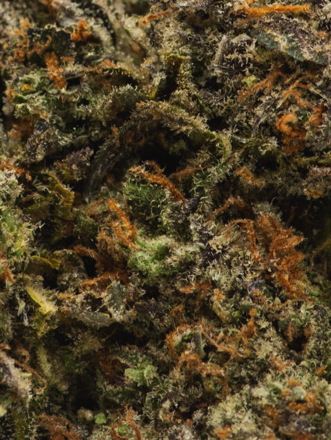 Ripped Off Runtz (AAAA)