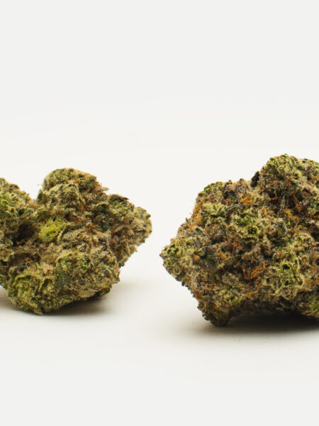 Donkey Breath Flower - Product Gallery 1