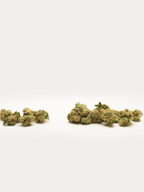 Hippie Crasher AAA | One Ounce Bag