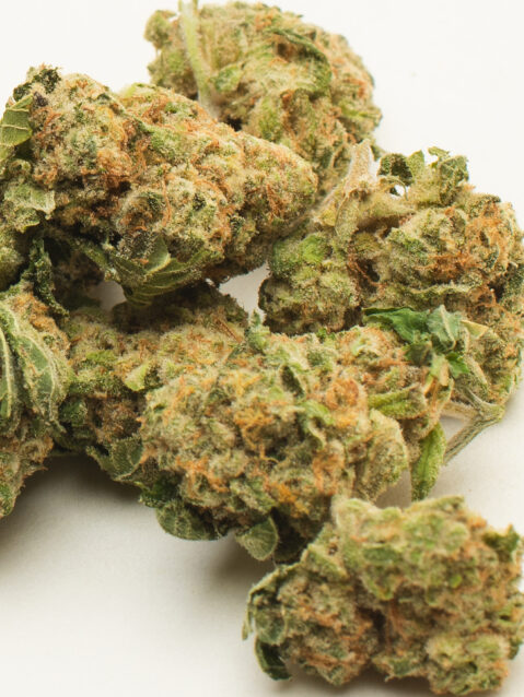 Hippie Crasher AAA | One Ounce Bag