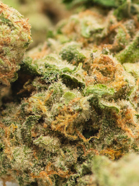 Hippie Crasher AAA | One Ounce Bag