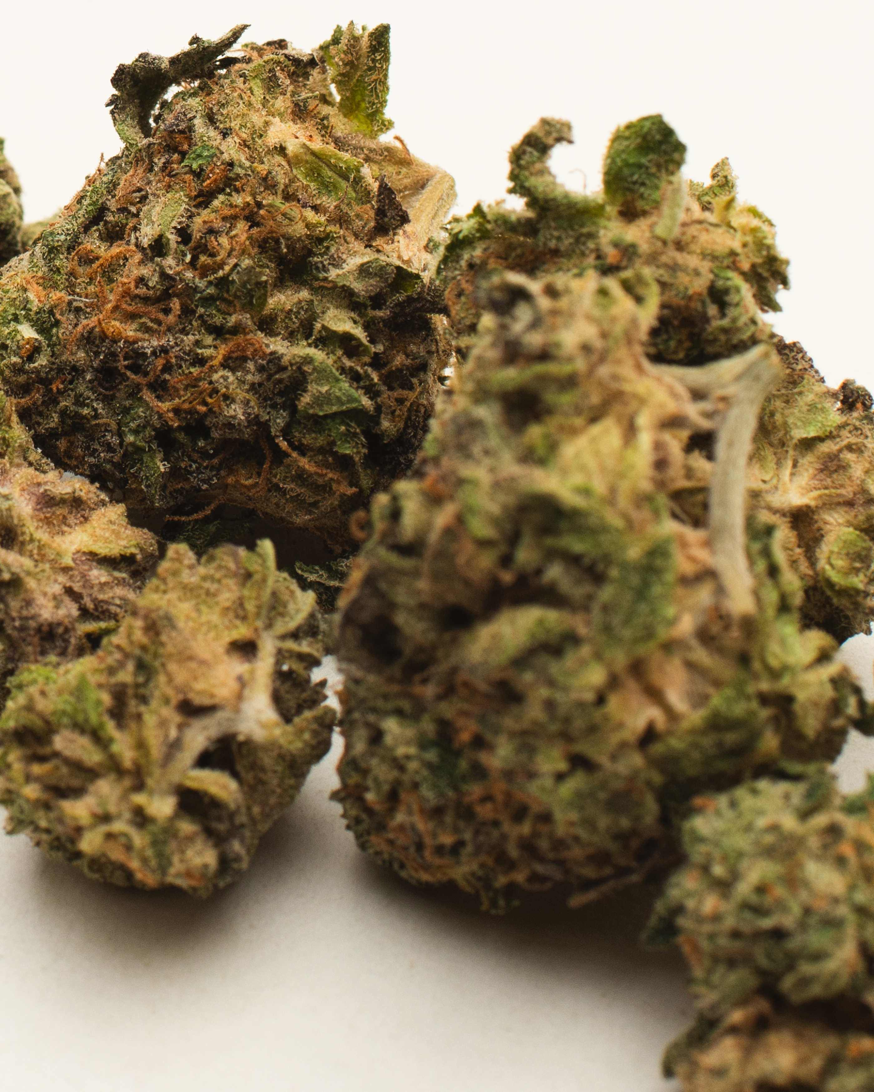 Stoni-JealousyOunce4