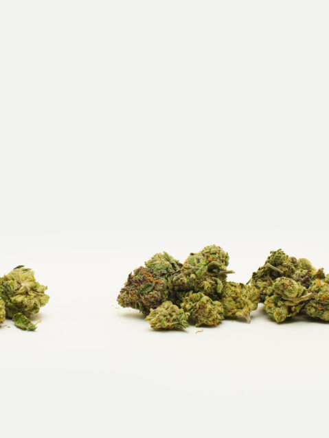 Detroit Runtz AAA+ | One Ounce Bag