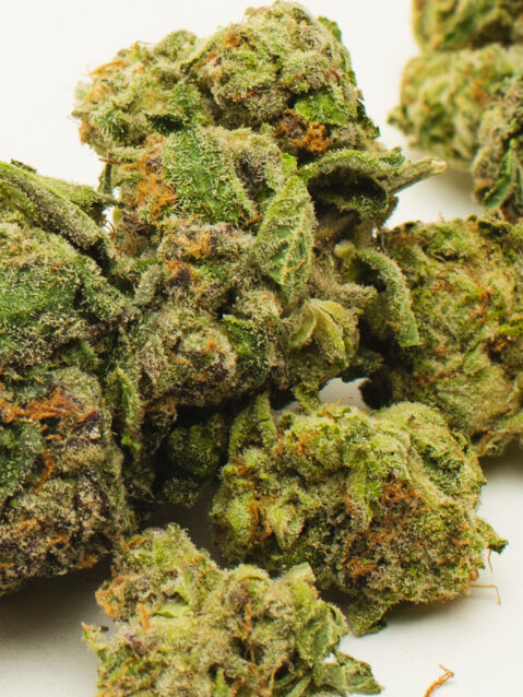 Detroit Runtz AAA+ | One Ounce Bag