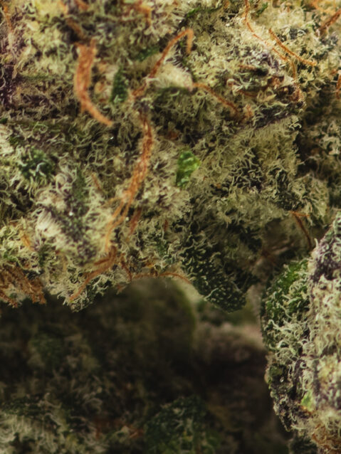 Black Velvet AAA+ | One Ounce Bag